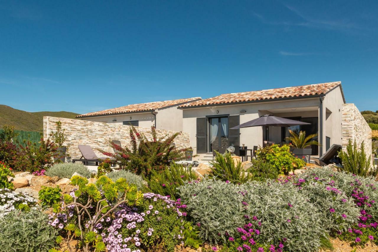 Le Domaine De Marie Villa Palasca  Eksteriør bilde